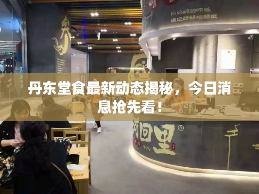 丹東堂食最新動態(tài)揭秘，今日消息搶先看！