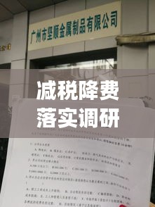 減稅降費(fèi)落實(shí)調(diào)研報(bào)告，政策成效分析與建議