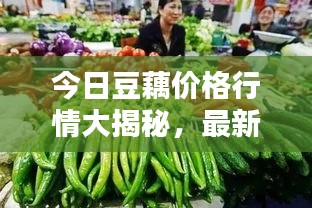 今日豆藕價格行情大揭秘，最新報價一網(wǎng)打盡！