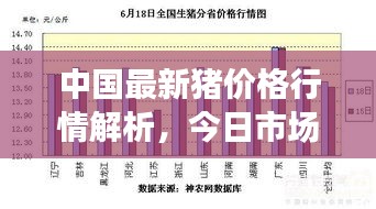 中國最新豬價格行情解析，今日市場走勢分析