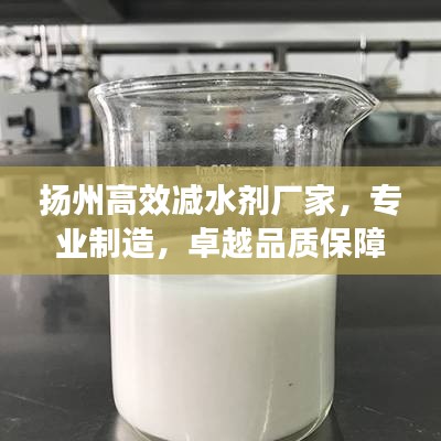 揚(yáng)州高效減水劑廠家，專業(yè)制造，卓越品質(zhì)保障