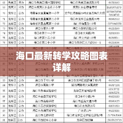 海口最新轉(zhuǎn)學攻略圖表詳解