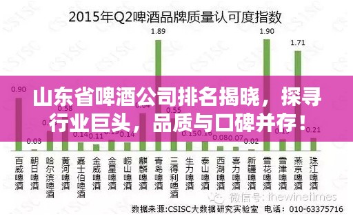 山東省啤酒公司排名揭曉，探尋行業(yè)巨頭，品質(zhì)與口碑并存！