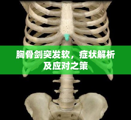 胸骨劍突發(fā)軟，癥狀解析及應對之策