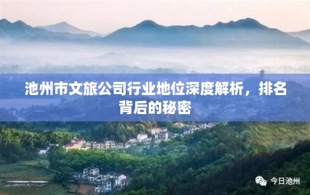 池州市文旅公司行業(yè)地位深度解析，排名背后的秘密
