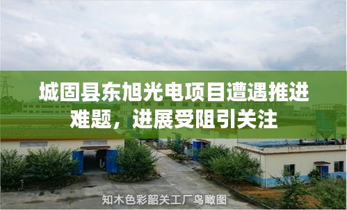 鳳毛麟角 第2頁