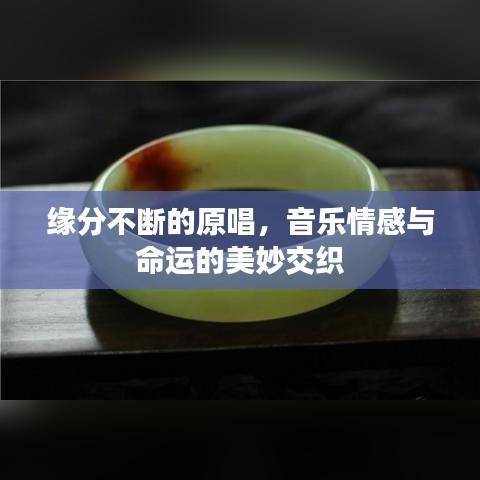 緣分不斷的原唱，音樂(lè)情感與命運(yùn)的美妙交織