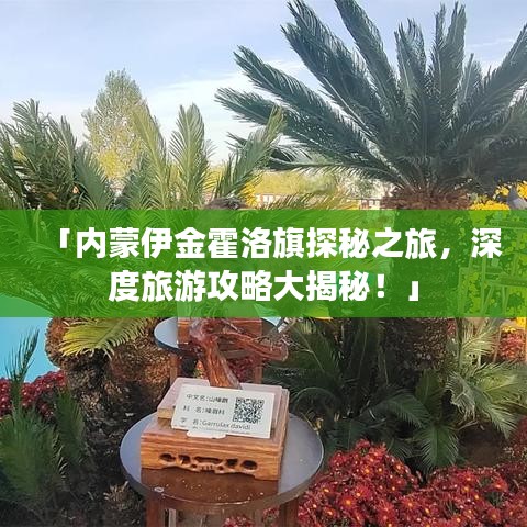 「內(nèi)蒙伊金霍洛旗探秘之旅，深度旅游攻略大揭秘！」