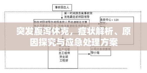 突發(fā)腹瀉休克，癥狀解析、原因探究與應(yīng)急處理方案