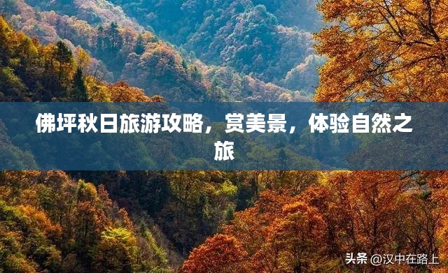 佛坪秋日旅游攻略，賞美景，體驗(yàn)自然之旅