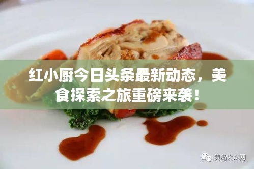 紅小廚今日頭條最新動態(tài)，美食探索之旅重磅來襲！