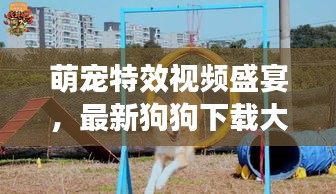 萌寵特效視頻盛宴，最新狗狗下載大全，一網(wǎng)打盡娛樂時光