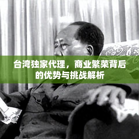 臺灣獨(dú)家代理，商業(yè)繁榮背后的優(yōu)勢與挑戰(zhàn)解析