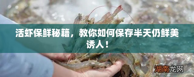 活蝦保鮮秘籍，教你如何保存半天仍鮮美誘人！