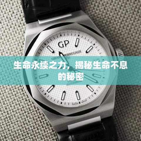 生命永續(xù)之力，揭秘生命不息的秘密