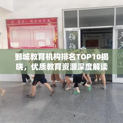 鄄城教育機構(gòu)排名TOP10揭曉，優(yōu)質(zhì)教育資源深度解讀