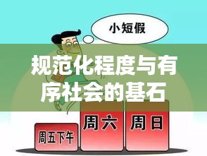 規(guī)范化程度與有序社會(huì)的基石，構(gòu)建社會(huì)秩序的基石