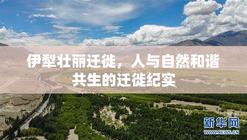 伊犁壯麗遷徙，人與自然和諧共生的遷徙紀(jì)實(shí)