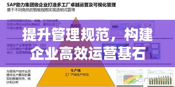 提升管理規(guī)范，構(gòu)建企業(yè)高效運營基石