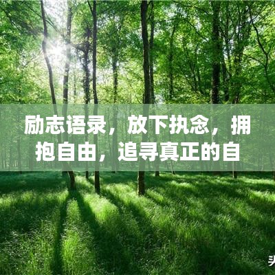 勵志語錄，放下執(zhí)念，擁抱自由，追尋真正的自我之路