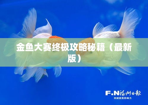 金魚(yú)大賽終極攻略秘籍（最新版）