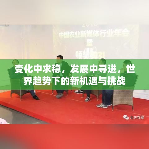 變化中求穩(wěn)，發(fā)展中尋進(jìn)，世界趨勢(shì)下的新機(jī)遇與挑戰(zhàn)