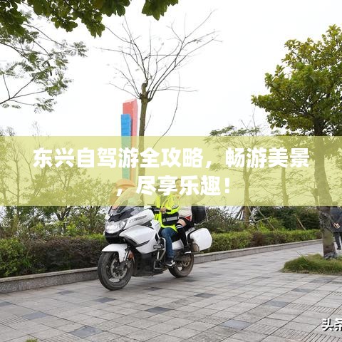 東興自駕游全攻略，暢游美景，盡享樂趣！