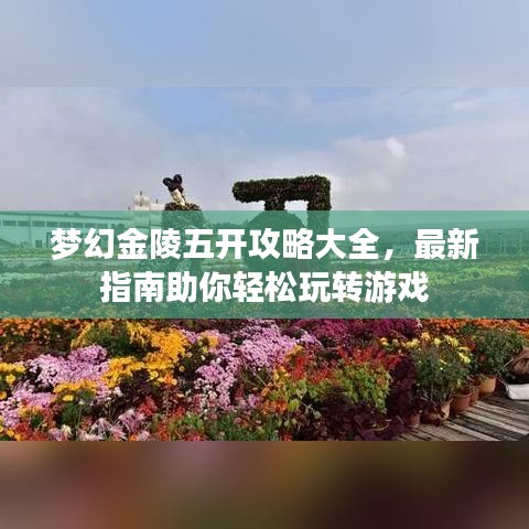 夢(mèng)幻金陵五開攻略大全，最新指南助你輕松玩轉(zhuǎn)游戲