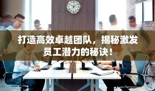 打造高效卓越團(tuán)隊，揭秘激發(fā)員工潛力的秘訣！