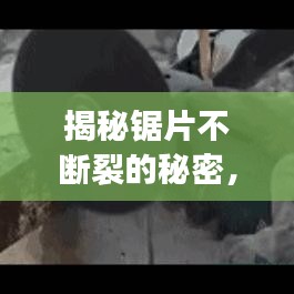 揭秘鋸片不斷裂的秘密，技術(shù)革新與材料科學(xué)的完美結(jié)合之道