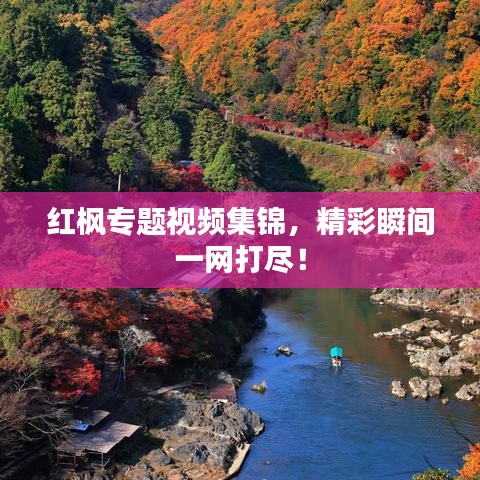 紅楓專題視頻集錦，精彩瞬間一網(wǎng)打盡！