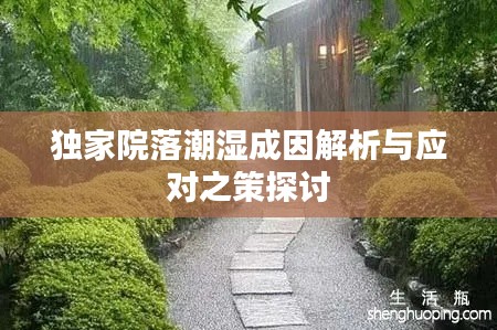 獨(dú)家院落潮濕成因解析與應(yīng)對之策探討