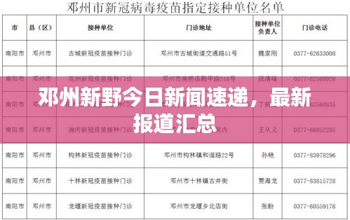 鄧州新野今日新聞速遞，最新報道匯總