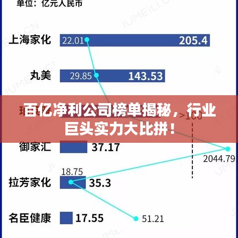 百億凈利公司榜單揭秘，行業(yè)巨頭實力大比拼！