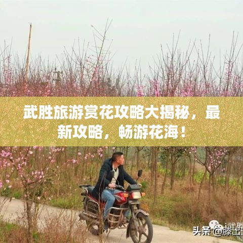 武勝旅游賞花攻略大揭秘，最新攻略，暢游花海！