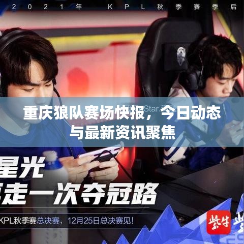 重慶狼隊(duì)賽場(chǎng)快報(bào)，今日動(dòng)態(tài)與最新資訊聚焦