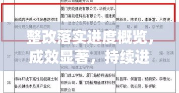 整改落實(shí)進(jìn)度概覽，成效顯著，持續(xù)進(jìn)步報(bào)告