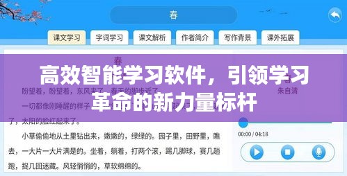 高效智能學(xué)習(xí)軟件，引領(lǐng)學(xué)習(xí)革命的新力量標(biāo)桿