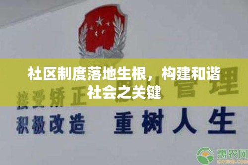 社區(qū)制度落地生根，構(gòu)建和諧社會之關(guān)鍵