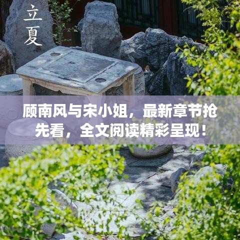 顧南風與宋小姐，最新章節(jié)搶先看，全文閱讀精彩呈現(xiàn)！