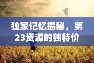 獨(dú)家記憶揭秘，第23資源的獨(dú)特價(jià)值探索