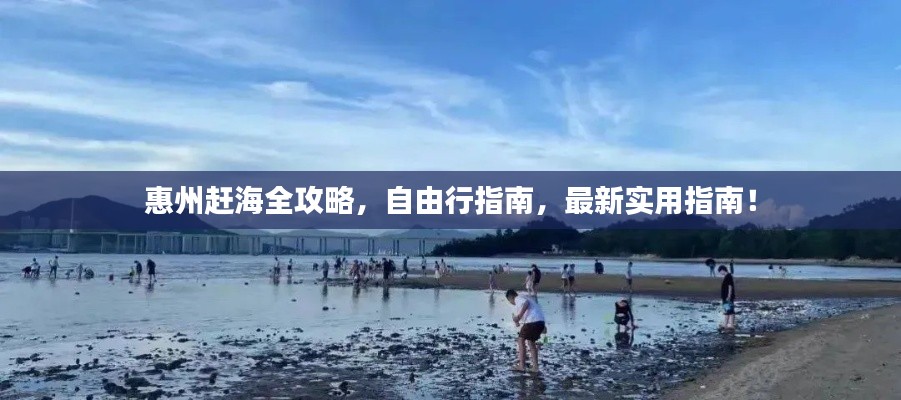 惠州趕海全攻略，自由行指南，最新實(shí)用指南！