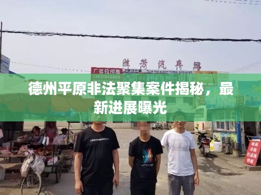 德州平原非法聚集案件揭秘，最新進展曝光