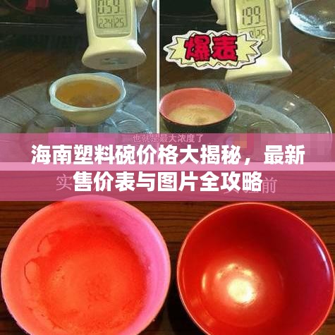 海南塑料碗價格大揭秘，最新售價表與圖片全攻略