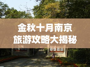 金秋十月南京旅游攻略大揭秘！