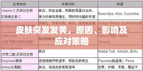 皮膚突發(fā)發(fā)黃，原因、影響及應(yīng)對策略