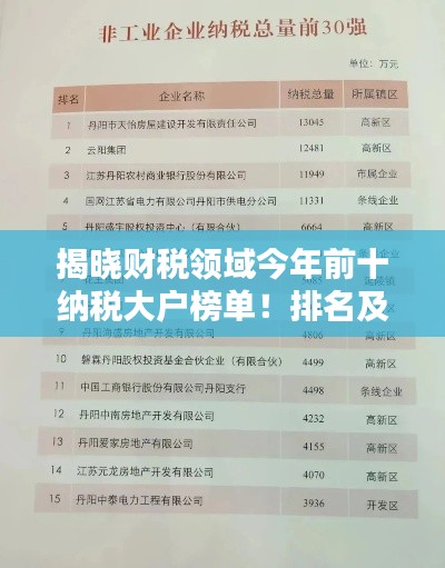 揭曉財稅領域今年前十納稅大戶榜單！排名及實力一網打盡