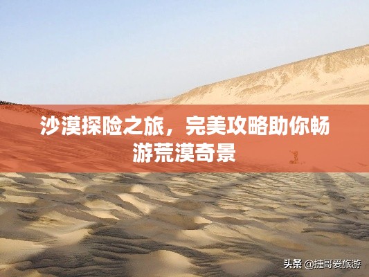 沙漠探險之旅，完美攻略助你暢游荒漠奇景