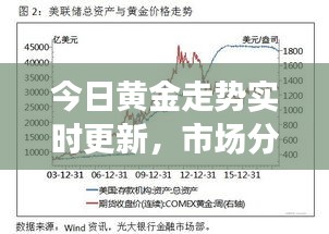 今日黃金走勢(shì)實(shí)時(shí)更新，市場(chǎng)分析與展望，最新報(bào)價(jià)揭秘