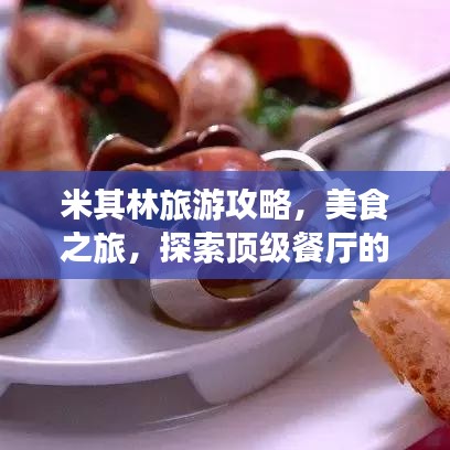 米其林旅游攻略，美食之旅，探索頂級餐廳的魅力之旅